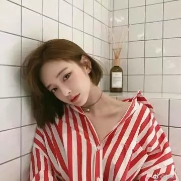 美人记·昭君